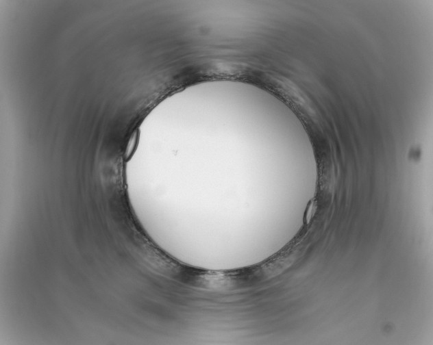 X0000090740425200708101707