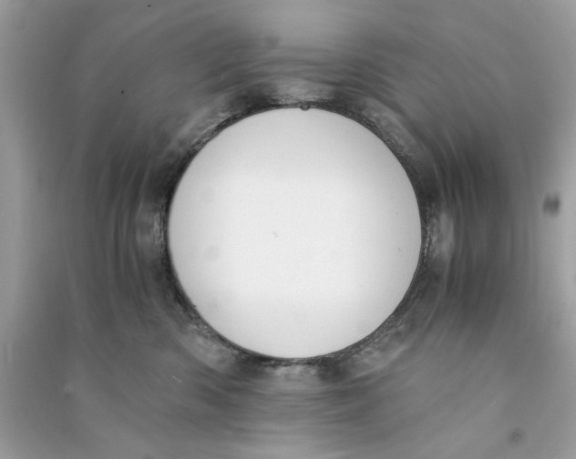 X0000090740426200708101707