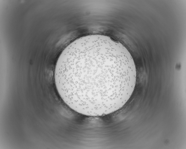 X0000090740427200708101707