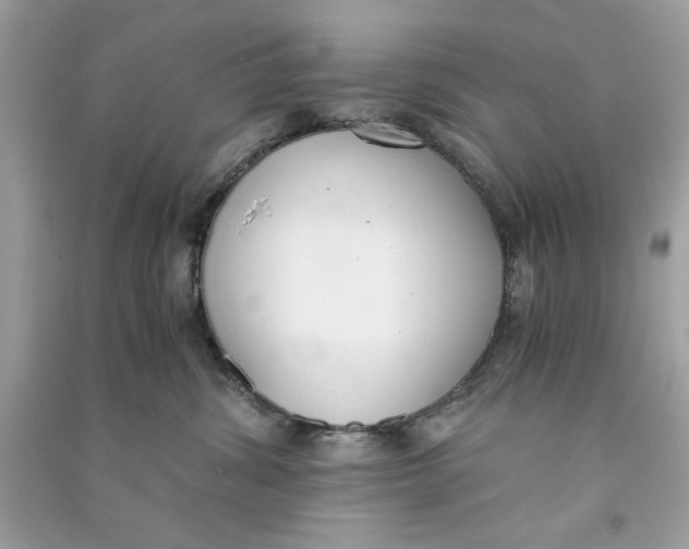 X0000090740428200708101707