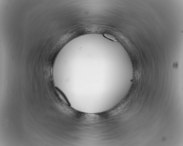 X0000090740429200708101707