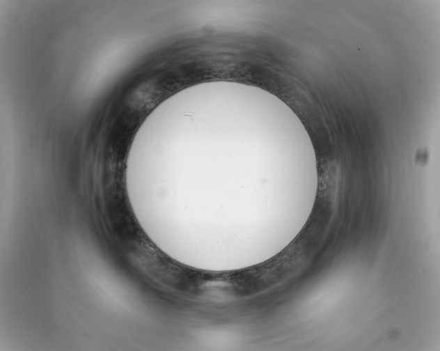 X0000090740430200708101707