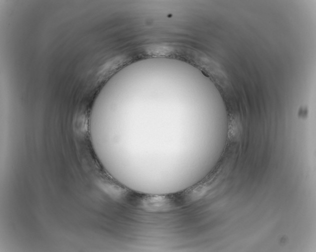 X0000090740431200708101707