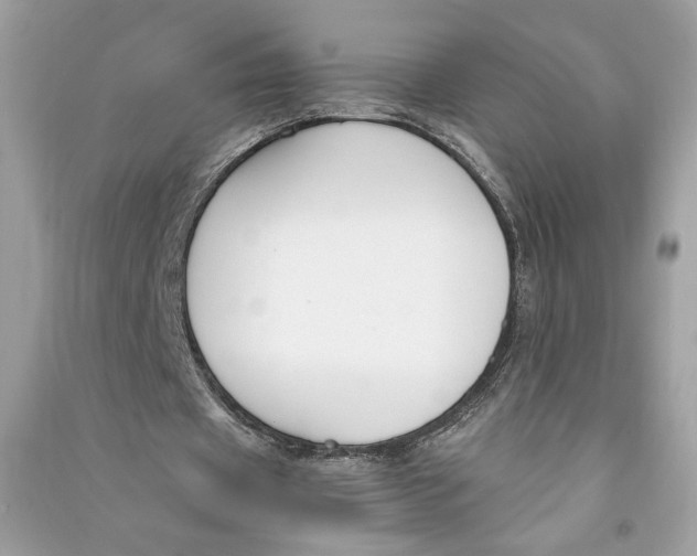 X0000090740433200708101706