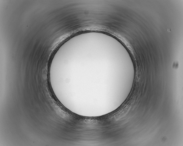 X0000090740437200708101706