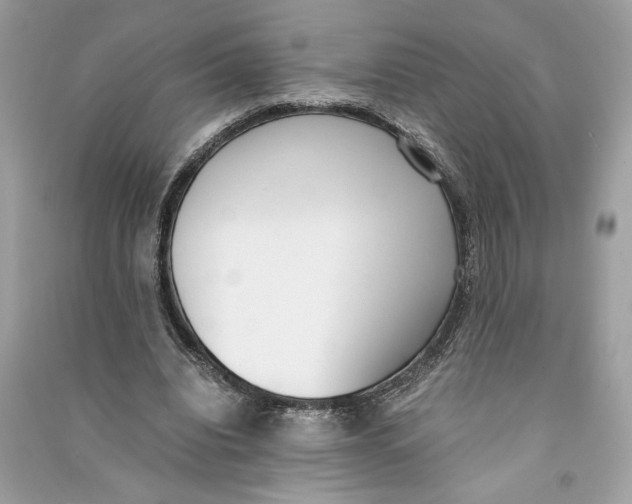 X0000090740440200708101706