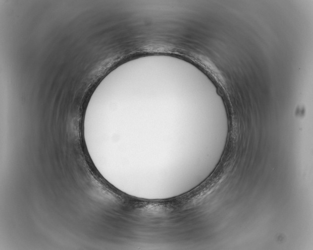 X0000090740441200708101706