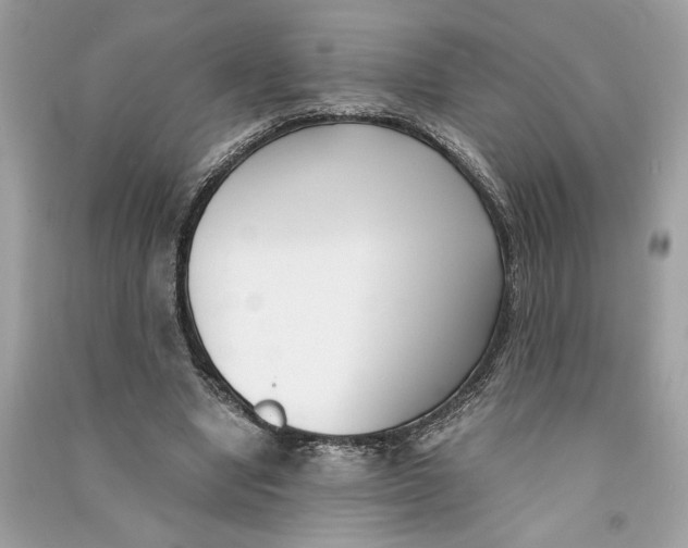 X0000090740442200708101706