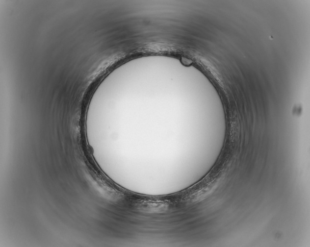 X0000090740443200708101706