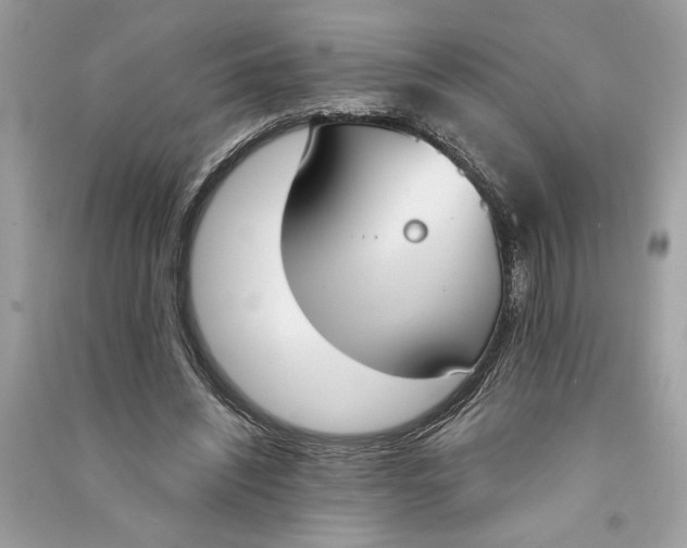 X0000090740444200708101706