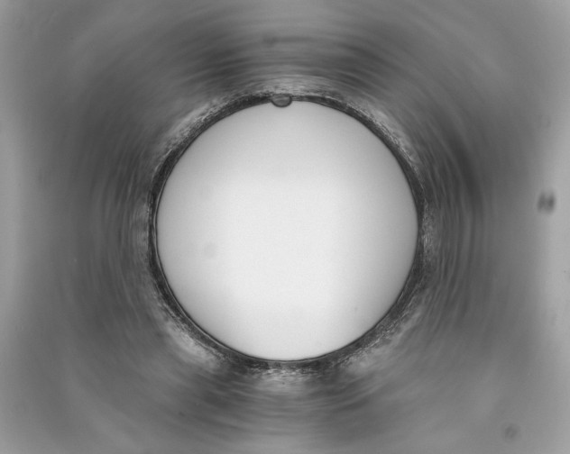 X0000090740445200708101706