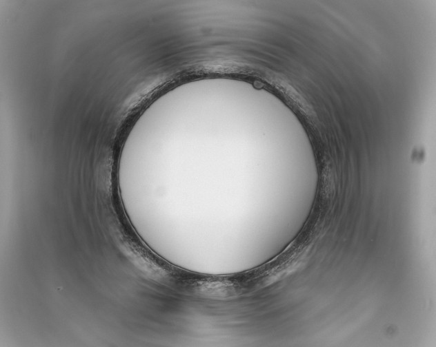 X0000090740446200708101706