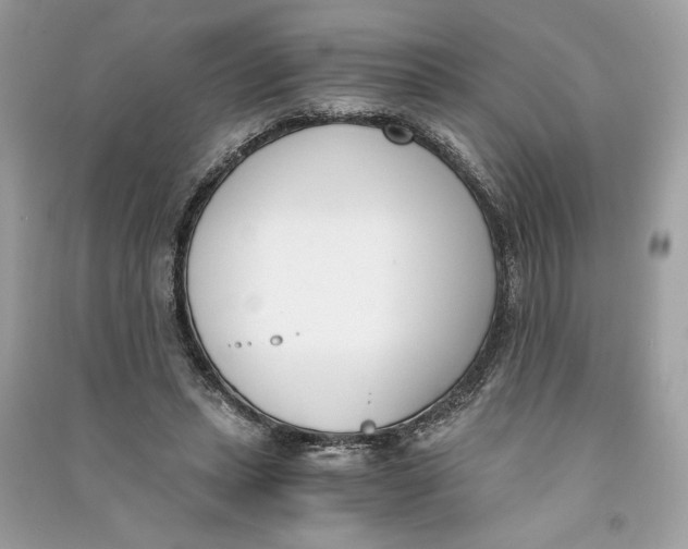 X0000090740447200708101706