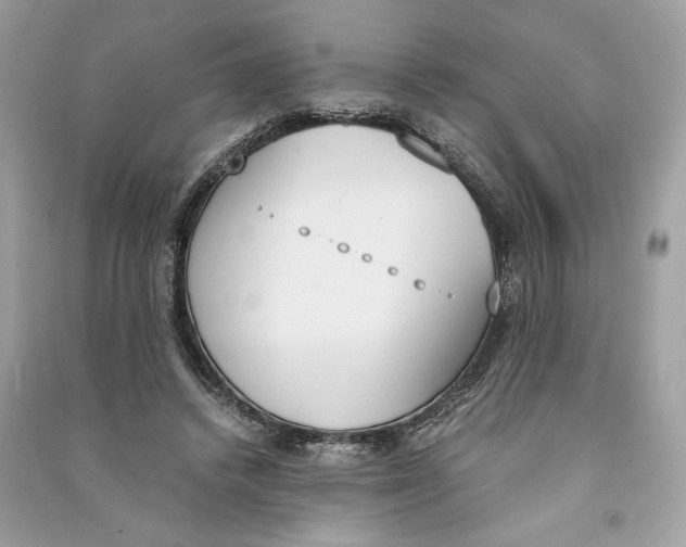 X0000090740448200708101706