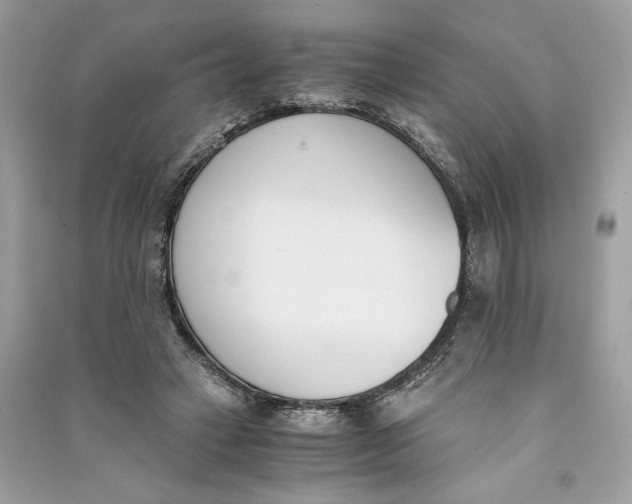 X0000090740449200708101706