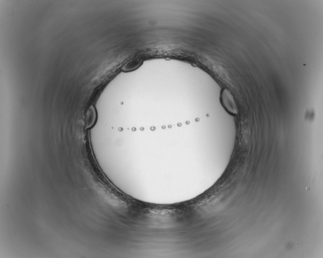 X0000090740450200708101706