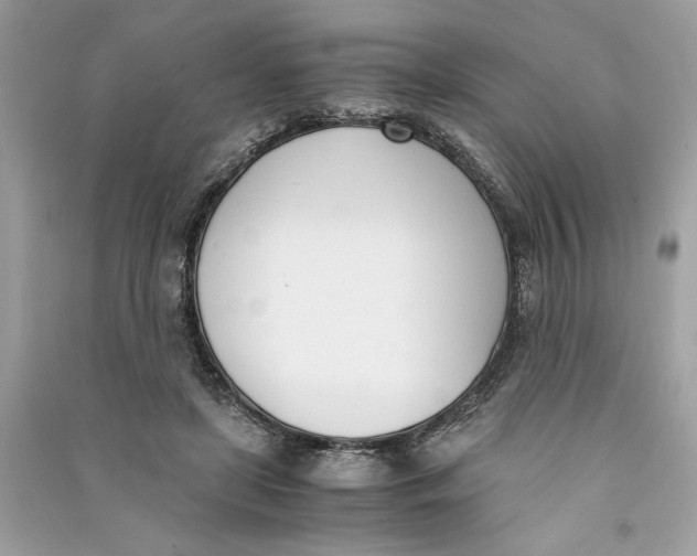 X0000090740451200708101706