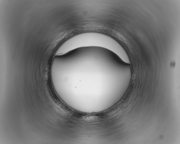 X0000090740452200708101706