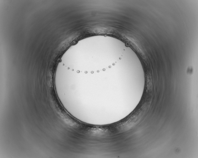 X0000090740453200708101706