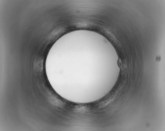 X0000090740454200708101706