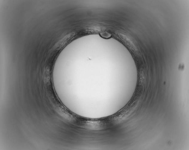 X0000090740457200708101706