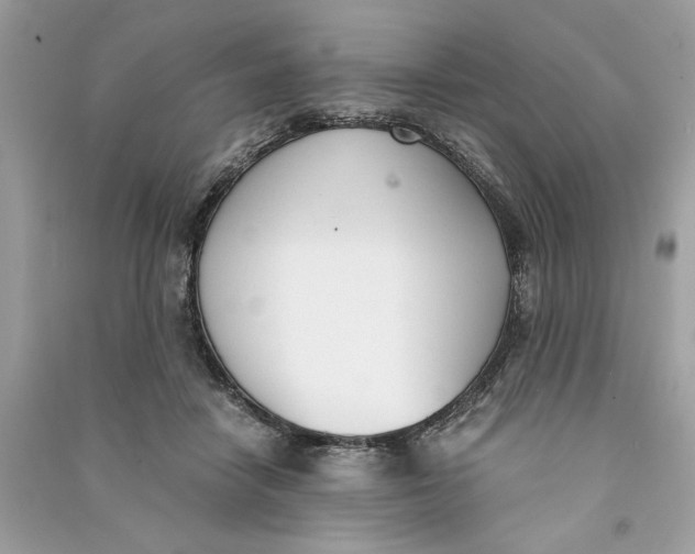 X0000090740458200708101706