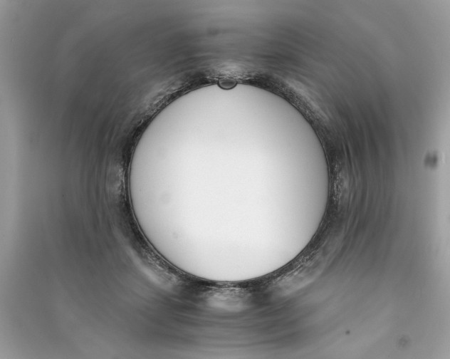 X0000090740459200708101706