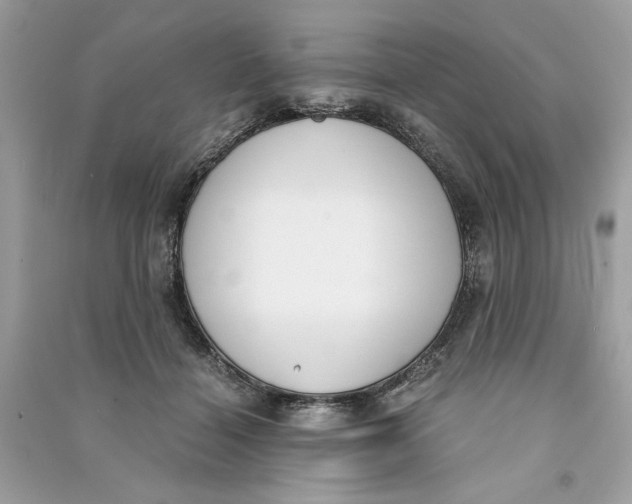 X0000090740460200708101706