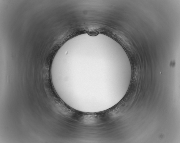 X0000090740461200708101706