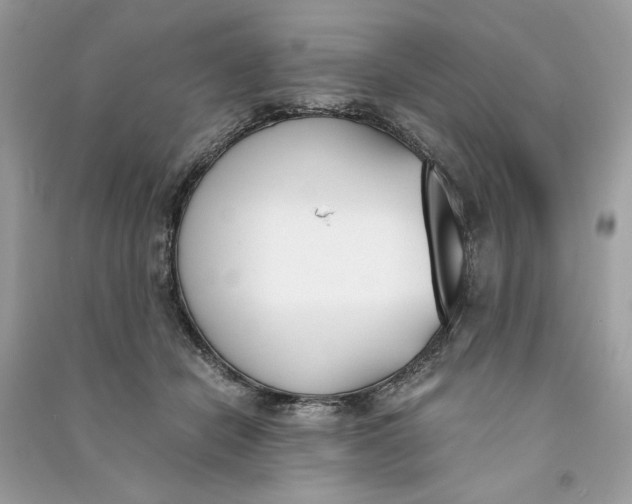 X0000090740462200708101706