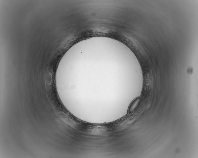 X0000090740463200708101706