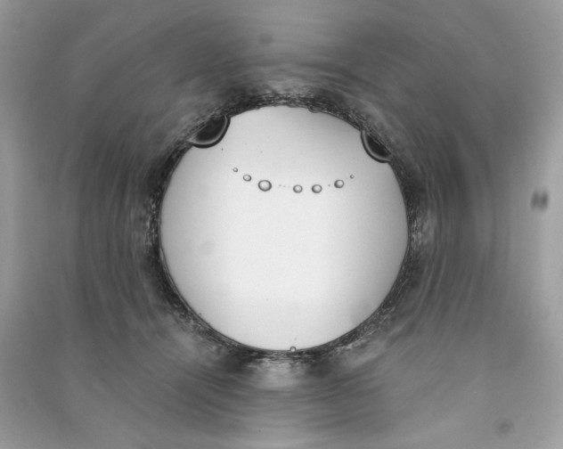 X0000090740464200708101706