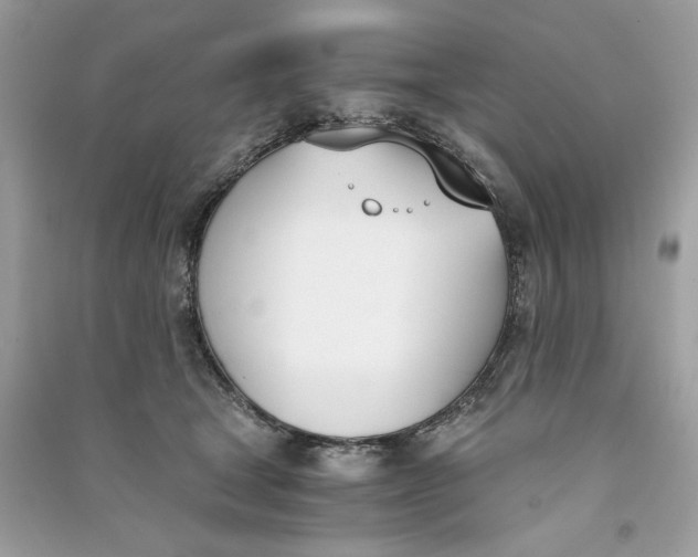 X0000090740465200708101706