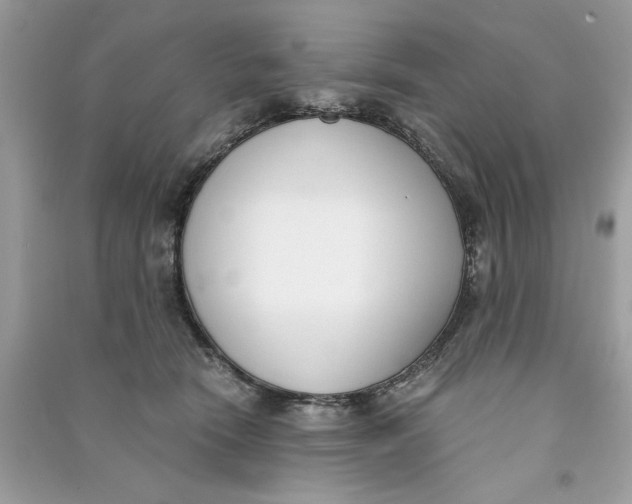 X0000090740466200708101706