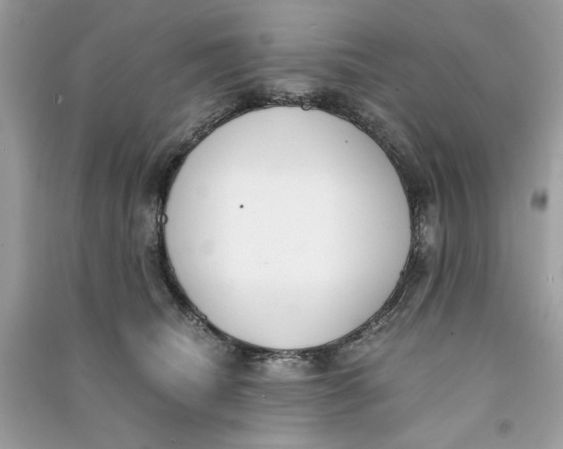 X0000090740468200708101706