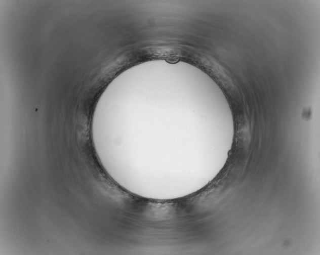 X0000090740469200708101706