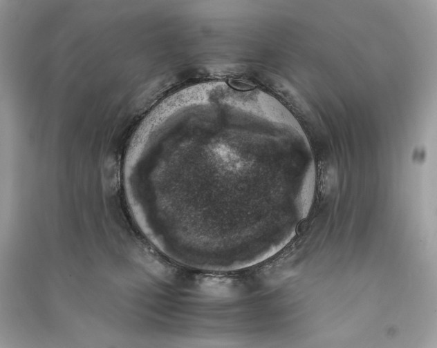 X0000090740471200708101706