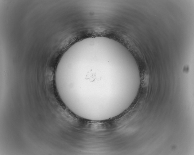 X0000090740472200708101706