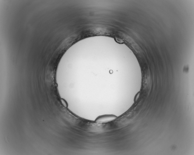 X0000090740473200708101706