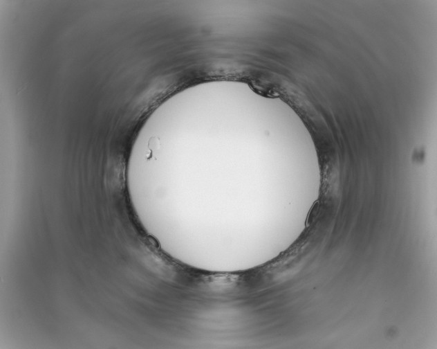 X0000090740474200708101706