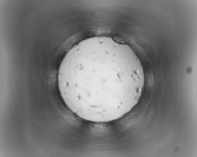 X0000090740475200708101706