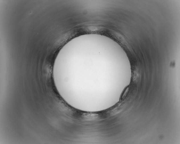 X0000090740476200708101706