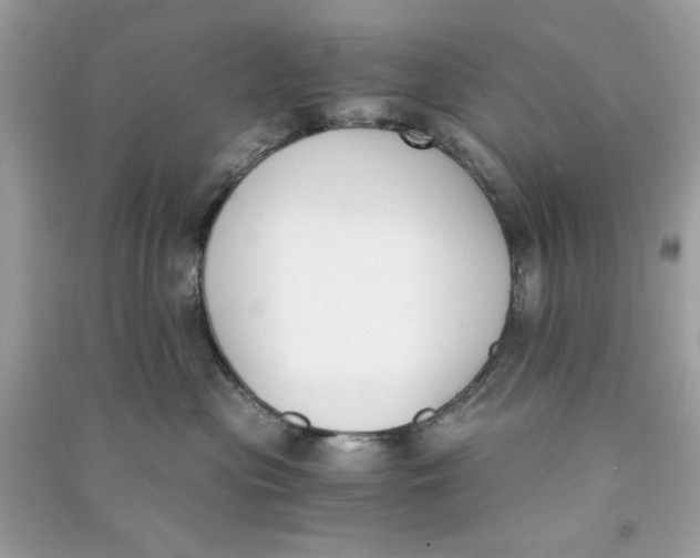 X0000090740477200708101706