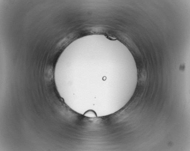 X0000090740478200708101707