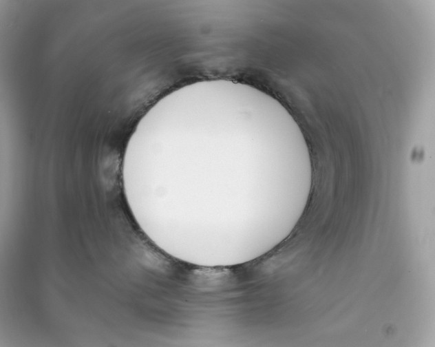 X0000090740480200708101707