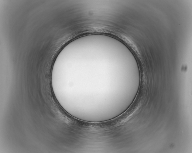 X0000090740481200708101706