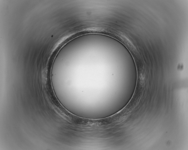 X0000090740484200708101706