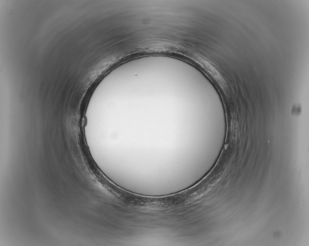 X0000090740485200708101706