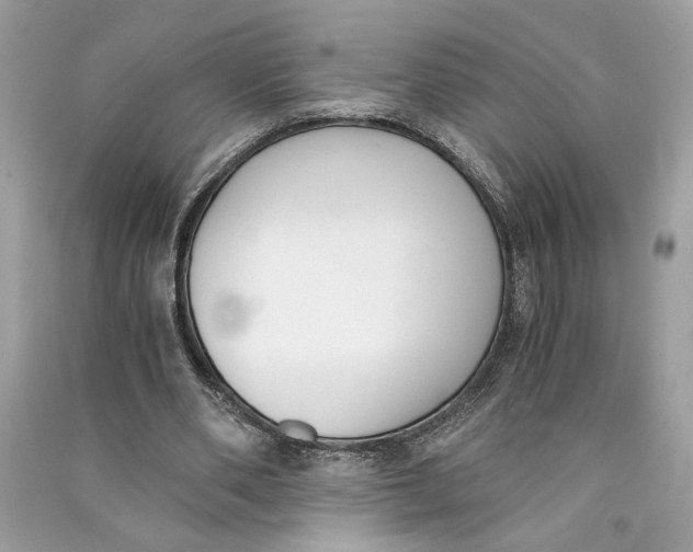 X0000090740486200708101706