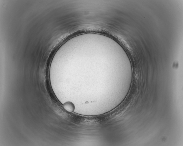 X0000090740487200708101706